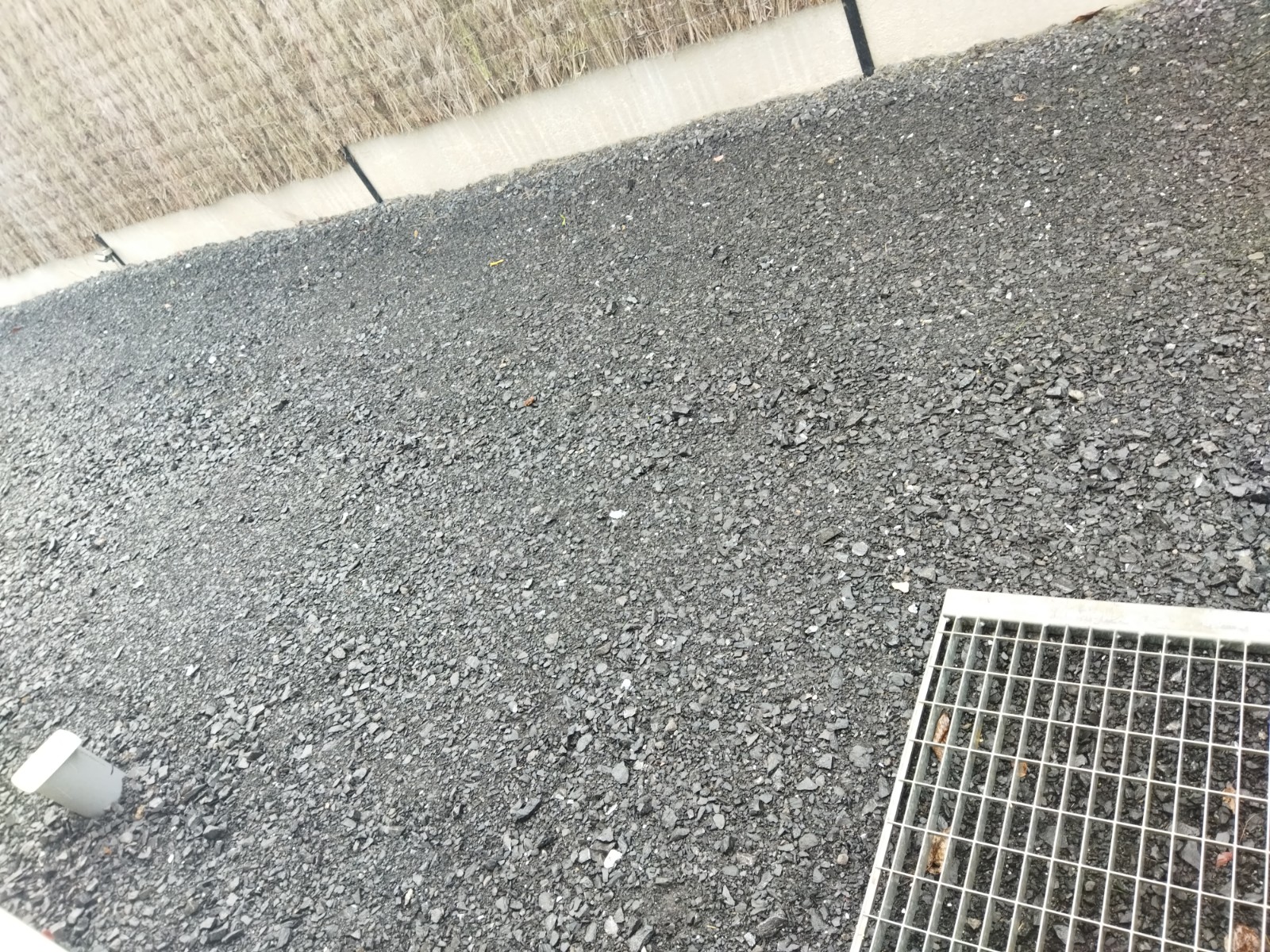 IMG_20230407_130328.jpg
