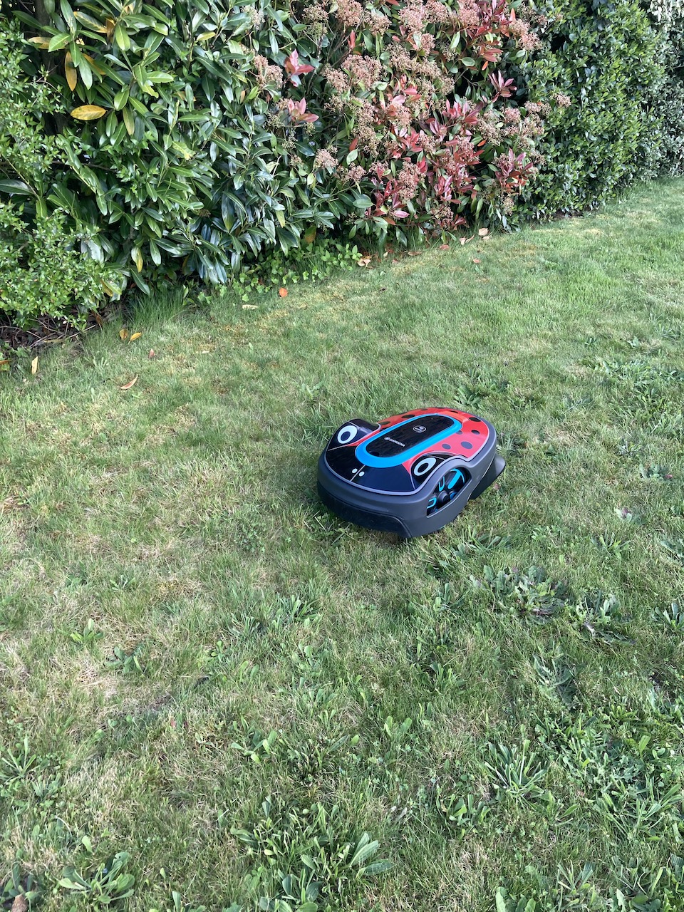 IMG_2353.jpeg