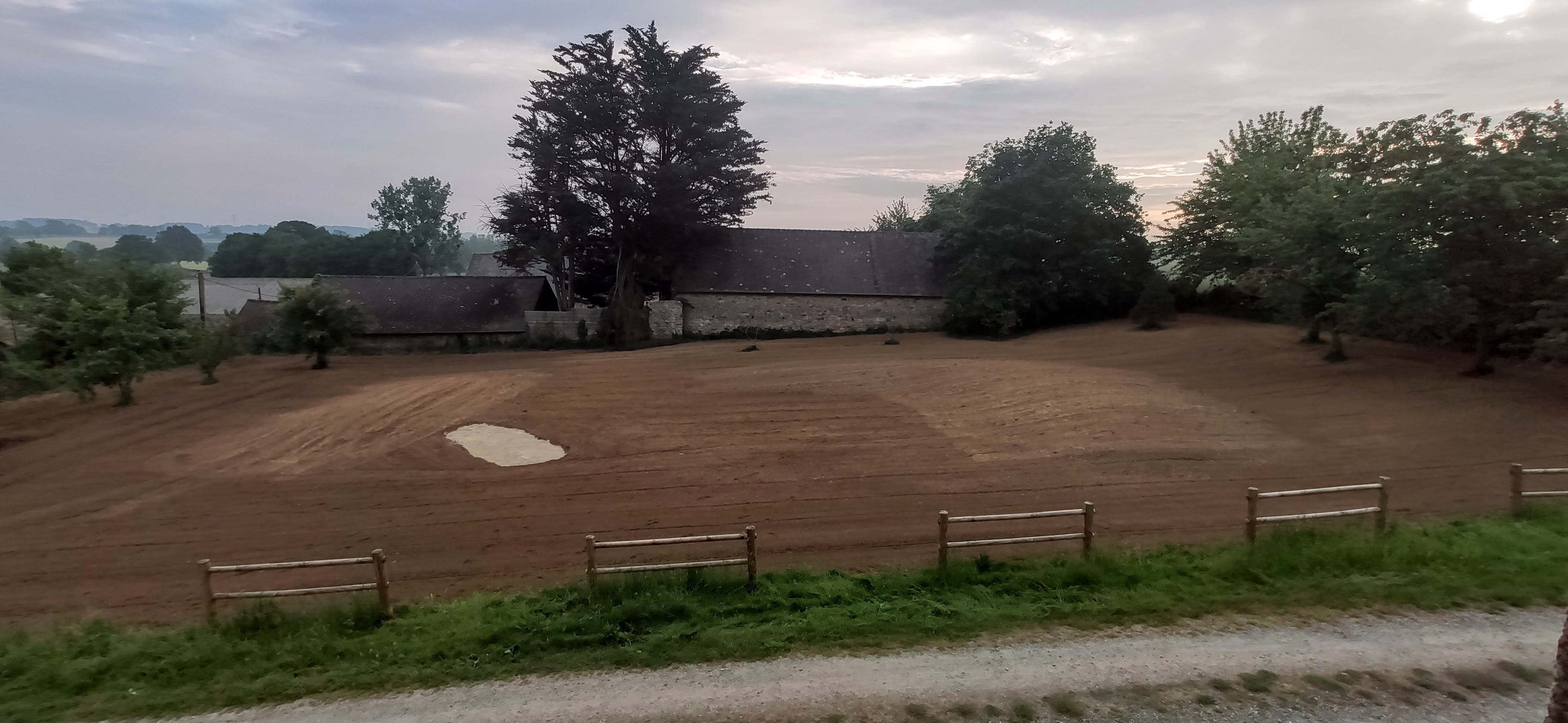 IMG_20210603_074223.jpg